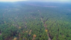 0 Mudhole Rd, Heath Springs, SC for sale Aerial- Image 1 of 1