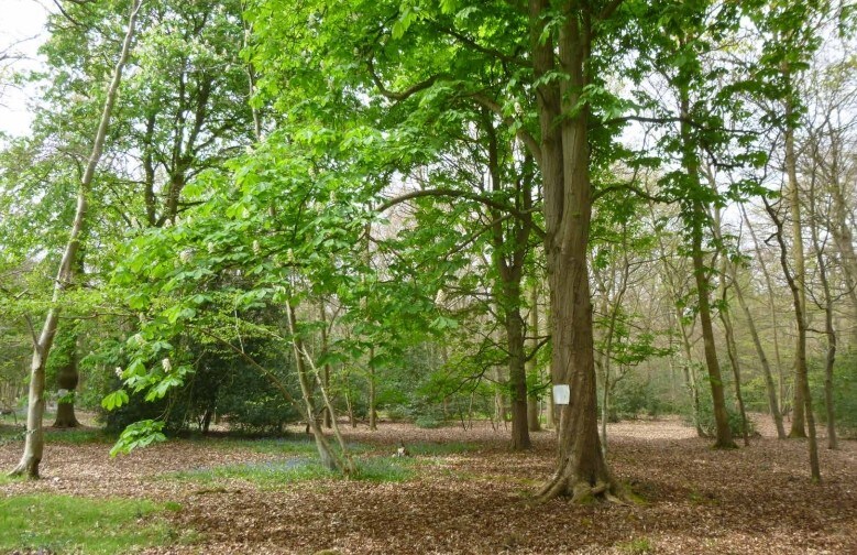 Templewood Ln, Slough for sale Primary Photo- Image 1 of 1