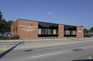 More details for 10 N Roselle Rd, Roselle, IL - Office for Lease