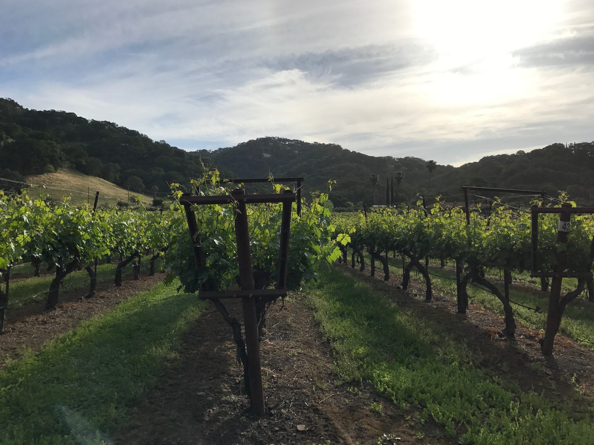 0000 Gordon Valley Rd, Napa, CA for sale Primary Photo- Image 1 of 1