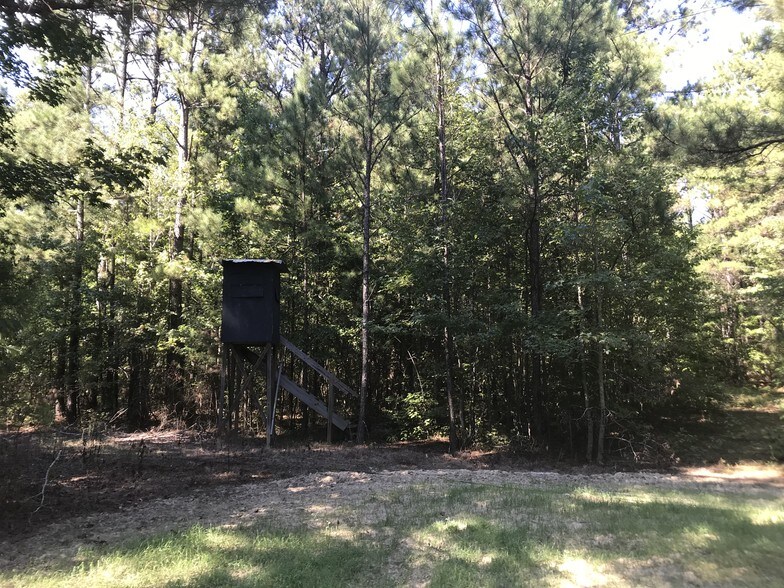 Yampertown Loop, Brilliant, AL for sale - Other - Image 1 of 1