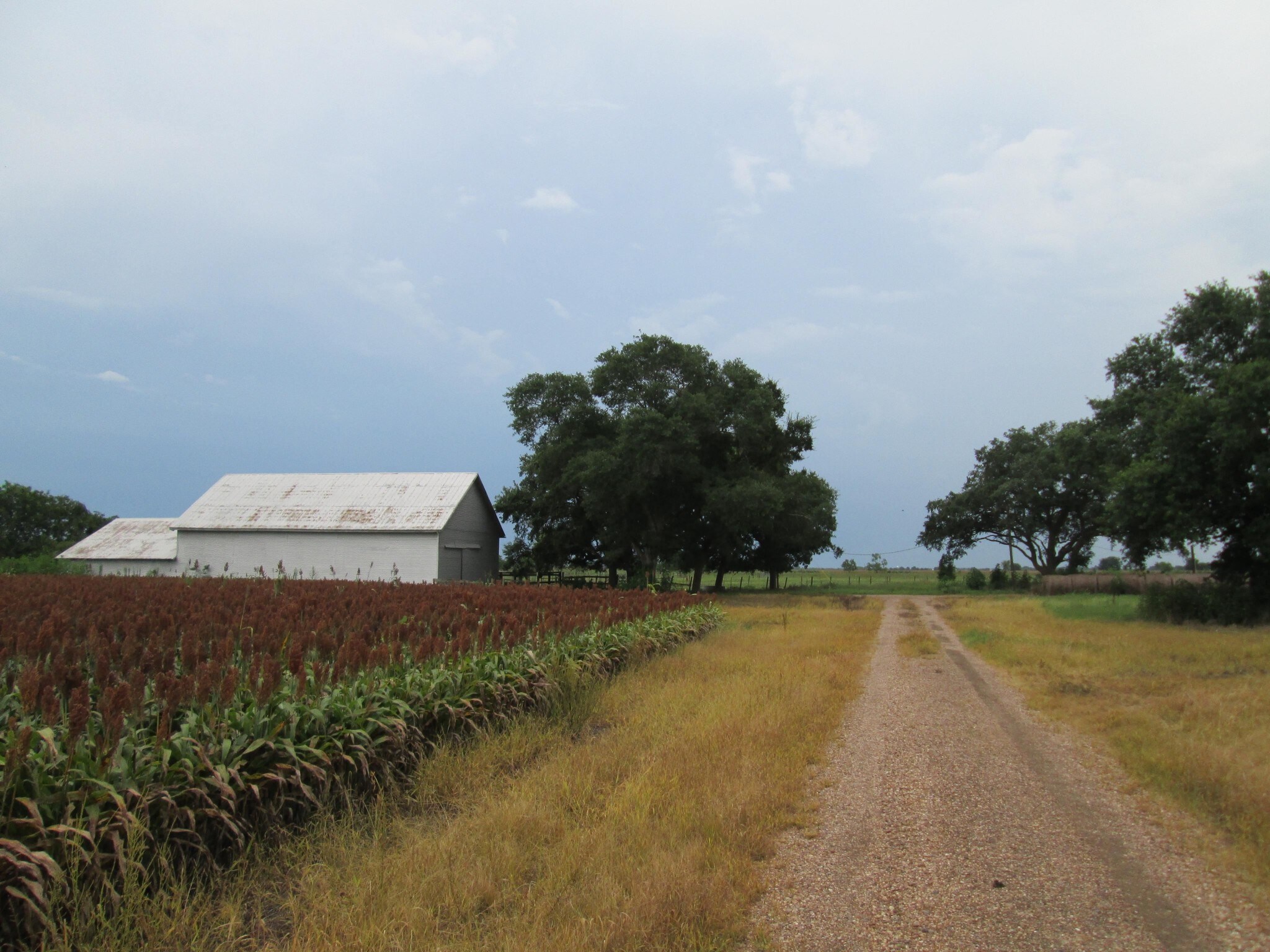 9211 Wernecke Rd, Rosenberg, TX for sale Building Photo- Image 1 of 1
