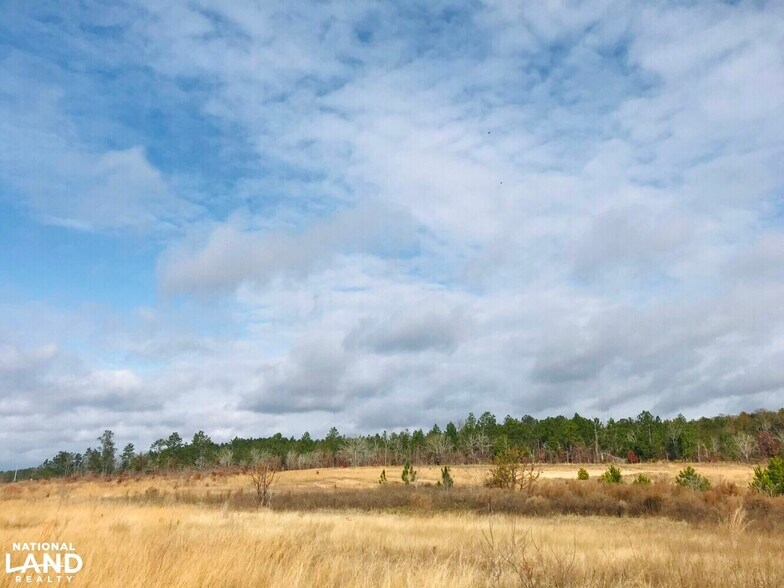 0 Chalk Mine Road/ Hwy 96, Butler, GA for sale - Primary Photo - Image 1 of 1