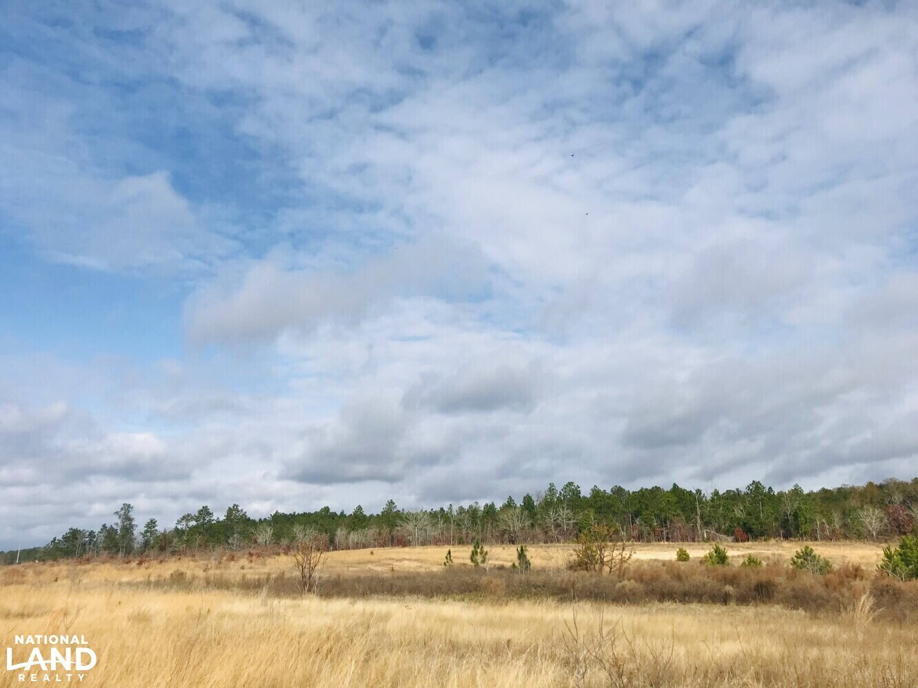 0 Chalk Mine Road/ Hwy 96, Butler, GA for sale Primary Photo- Image 1 of 1