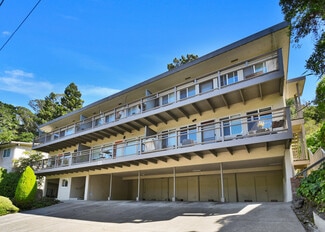 More details for 17 Roque Moraes Ct, Mill Valley, CA - Multifamily for Sale