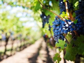 More details for 5887 Cross Keys Rd, Mount Crawford, VA - Specialty for Sale