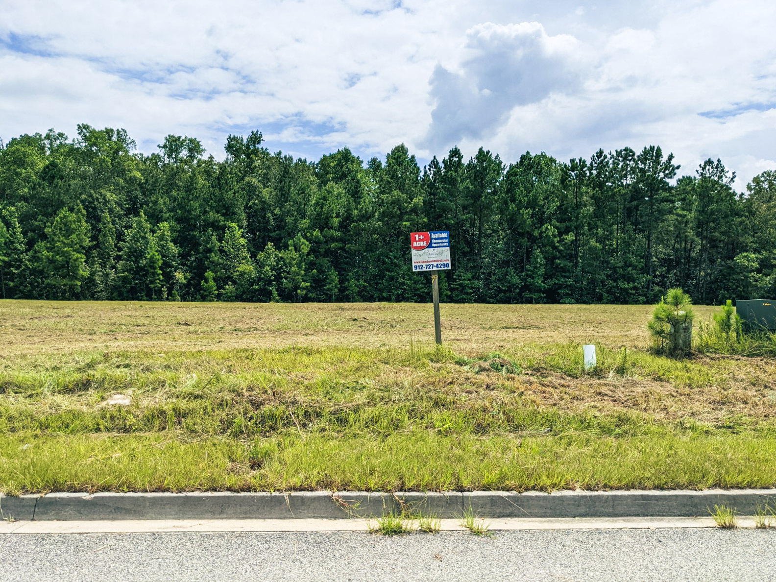 615 Towne Park Loop, Rincon, GA for sale Building Photo- Image 1 of 1