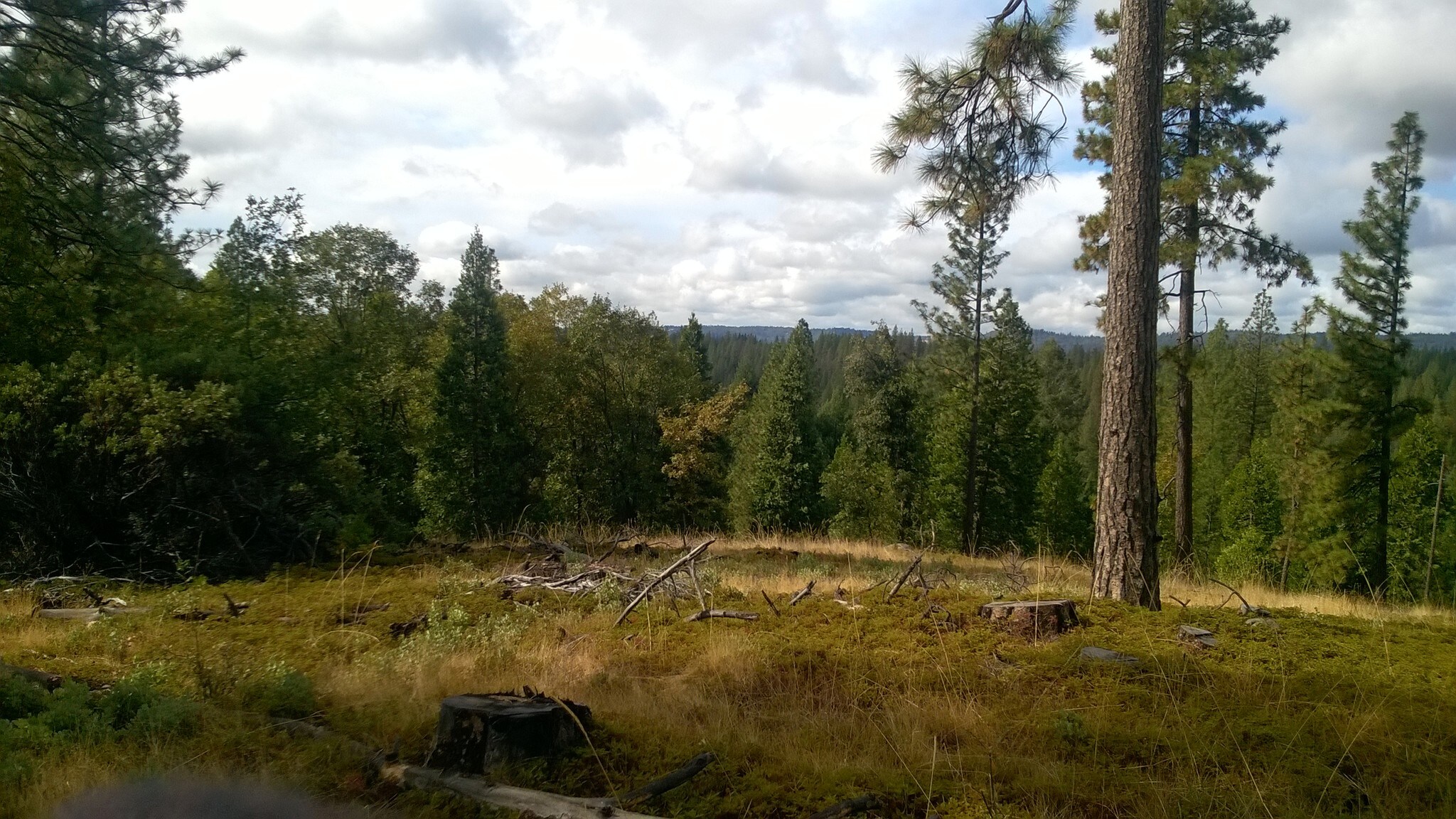 14036 Eganhoff Ln, West Point, CA for sale Other- Image 1 of 1