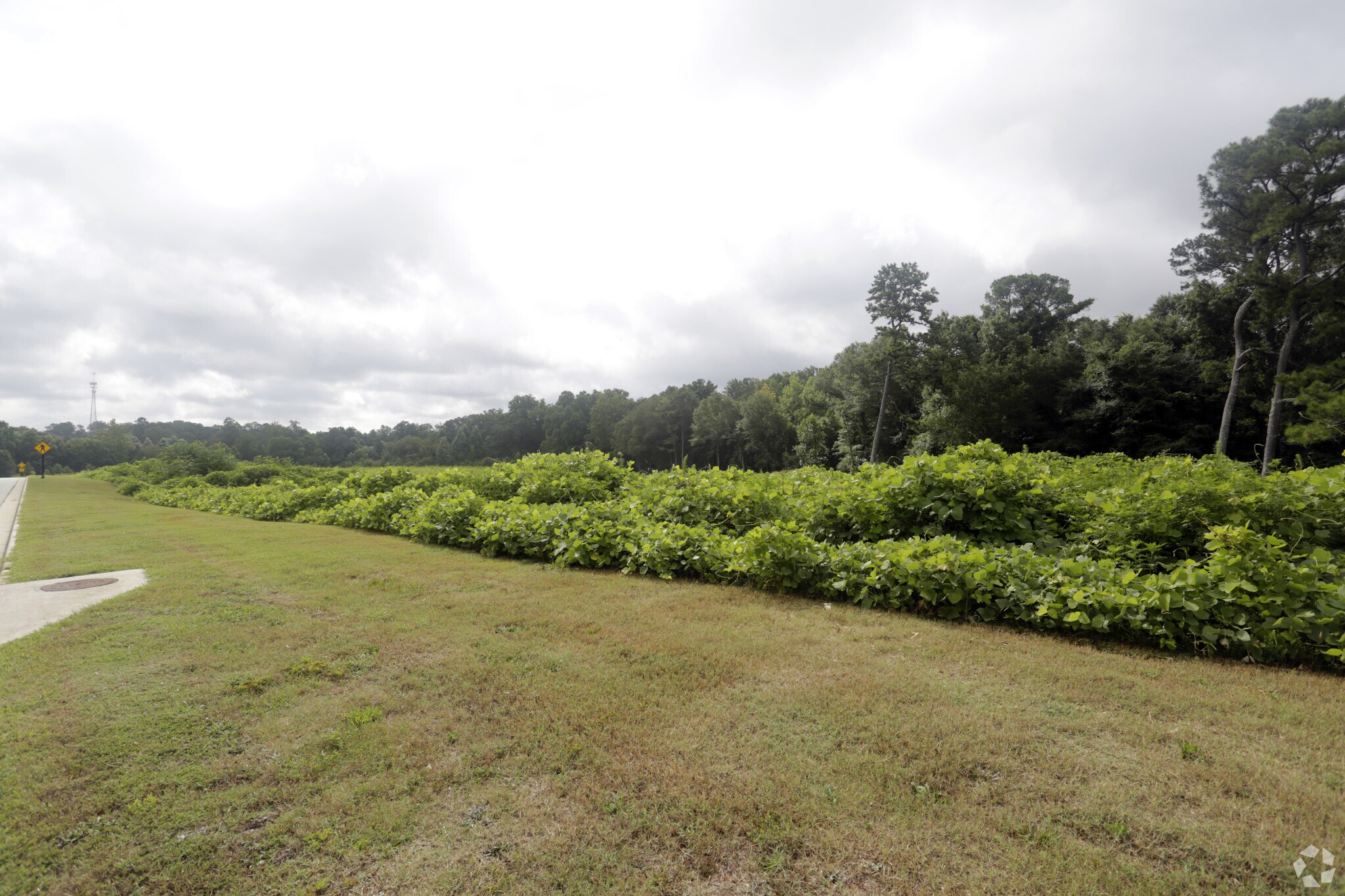 1041 Walnut Grove Pky, Loganville, GA for sale Primary Photo- Image 1 of 1