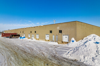 More details for 11000-11130 St Mirabeau, Montréal, QC - Industrial for Lease