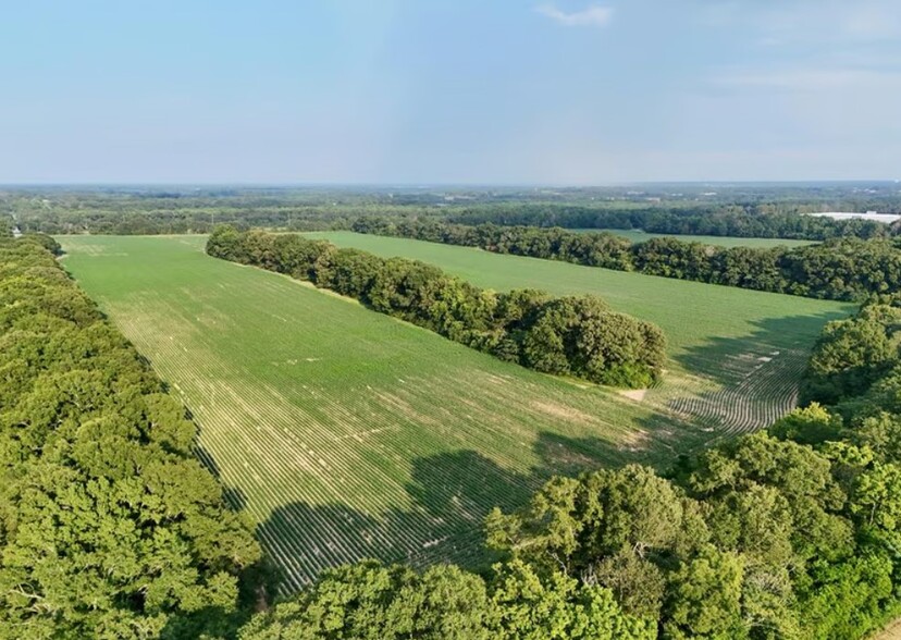 County Road 25 & Barrington Rd, Midland City, AL for sale - Building Photo - Image 2 of 3