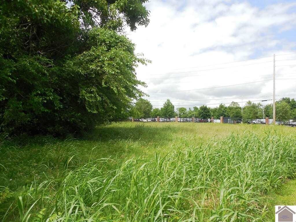 1133 S 3rd St, Paducah, KY for sale Primary Photo- Image 1 of 1