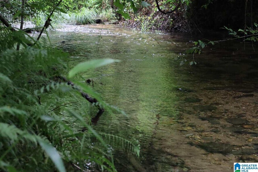 0 County Rd 61, Fruithurst, AL 36262 Land for Sale