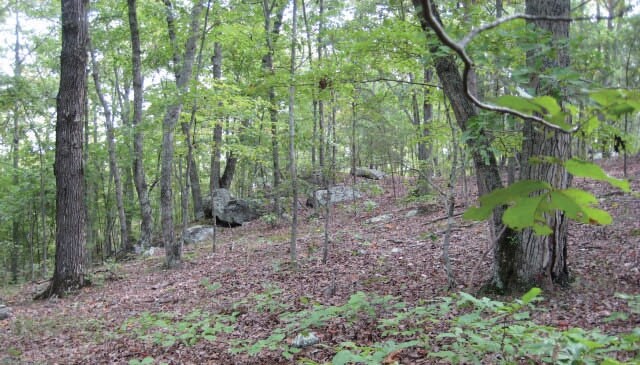 Bells Ferry Rd, White, GA for sale Primary Photo- Image 1 of 1