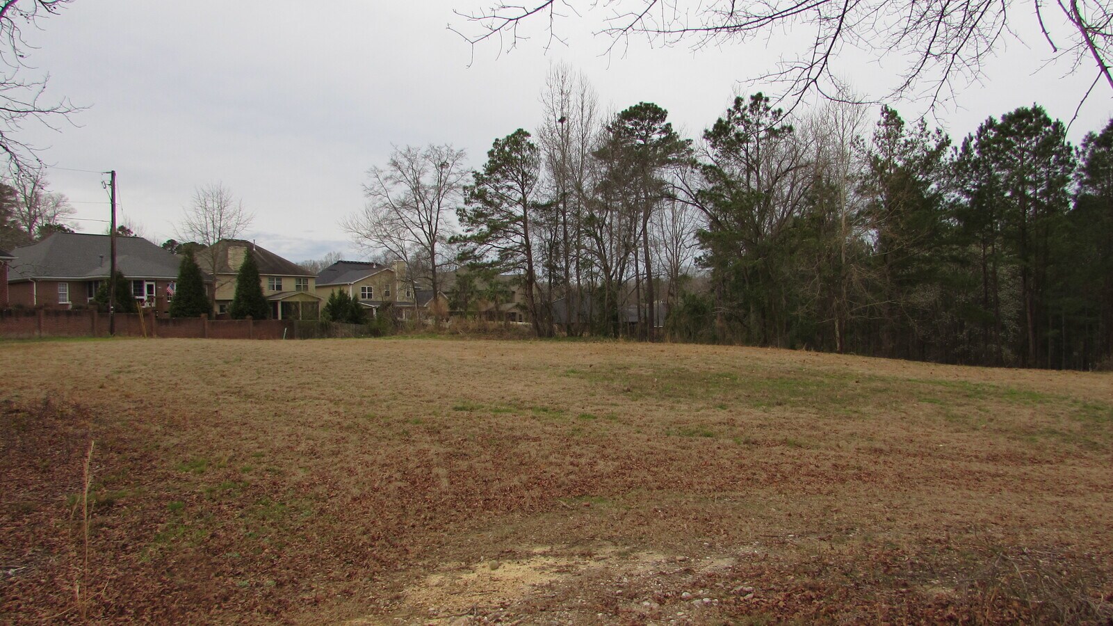 239 Old Chapin Rd, Lexington, SC 29072