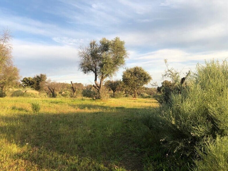 Land in Aldea del Cano for sale - Building Photo - Image 1 of 1