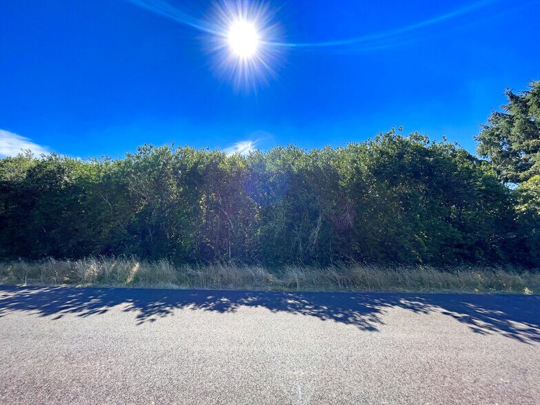 413 Trustee, Ocean Shores, WA 98569