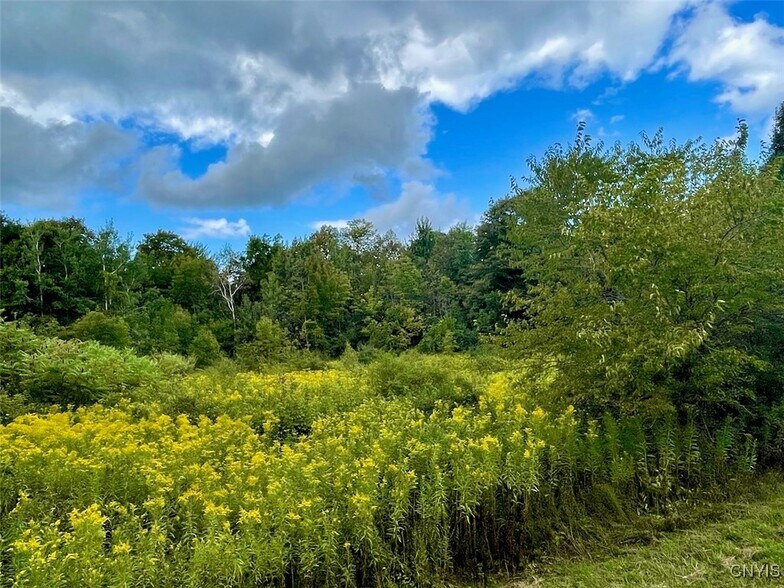 Maiden Lane Rd, Oswego, NY for sale - Building Photo - Image 2 of 8