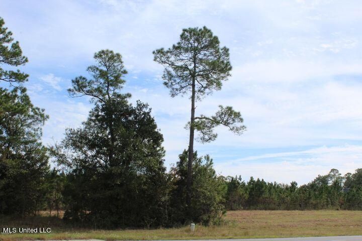 3.5 Acres Tucker Rd, Vancleave, MS for sale - Other - Image 2 of 7