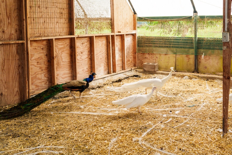 17-4150 Huina Rd., Kurtistown, HI for sale - Building Photo - Image 3 of 46