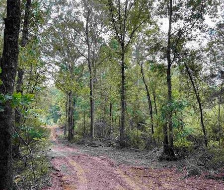Land in Cochran, GA for sale - Other - Image 1 of 1