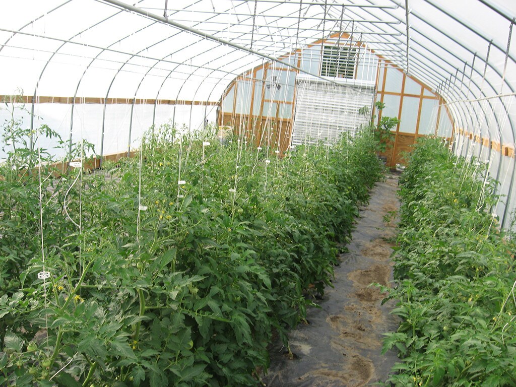 54 Joy Rd, Woodstock, CT 06281