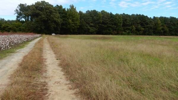 Audubon Rd, Suffolk, VA for sale - Primary Photo - Image 1 of 1