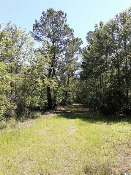 Depot Rd, Conway, SC for sale - Primary Photo - Image 1 of 1