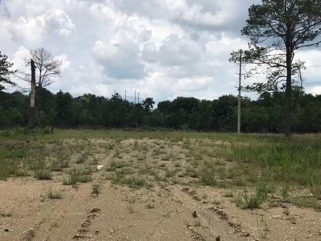 E Hwy 90, Iowa, LA for sale Primary Photo- Image 1 of 1