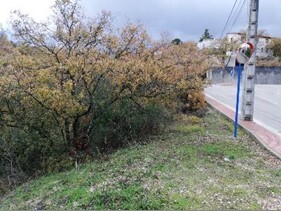 More details for Calle Fresno, 10, Villalbilla - Land for Sale