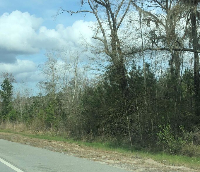 5163 Leroy Coffer Hwy, Fleming, GA 31309