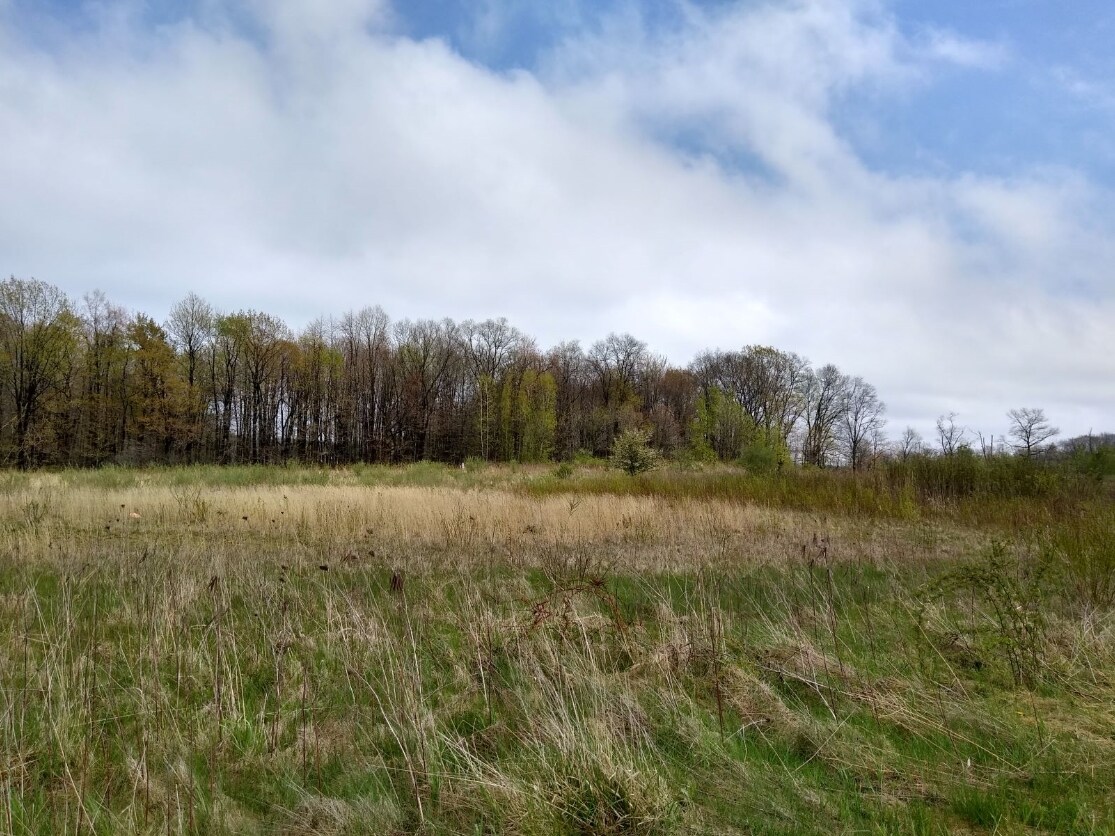 Timber Pointe Trl, Mantua, OH for sale Primary Photo- Image 1 of 1