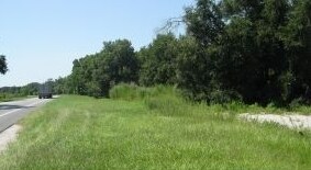 SW 250th St, Newberry, FL for sale - Primary Photo - Image 1 of 1