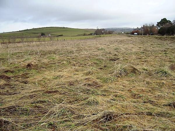 A980, Alford for sale Primary Photo- Image 1 of 1