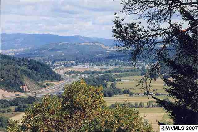 981 Wilbur Cemetery Rd, Wilbur, OR for sale - Primary Photo - Image 1 of 1