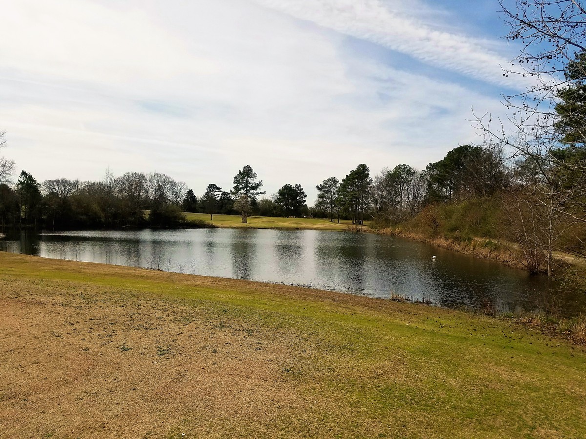 5200 Mountain Rd, Guntersville, AL 35976