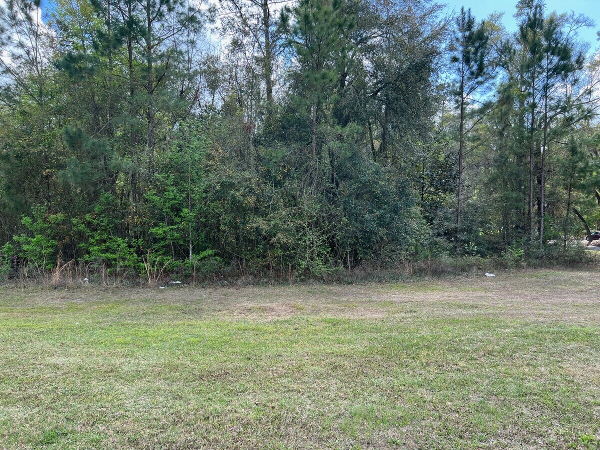 11905 NW Turkey Creek Blvd, Alachua, FL 32615