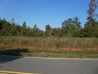 166 Classic Rd, Athens, GA for sale Primary Photo- Image 1 of 1