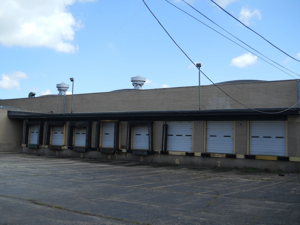 4417 S Springfield Ave, Chicago, IL for sale Building Photo- Image 1 of 1