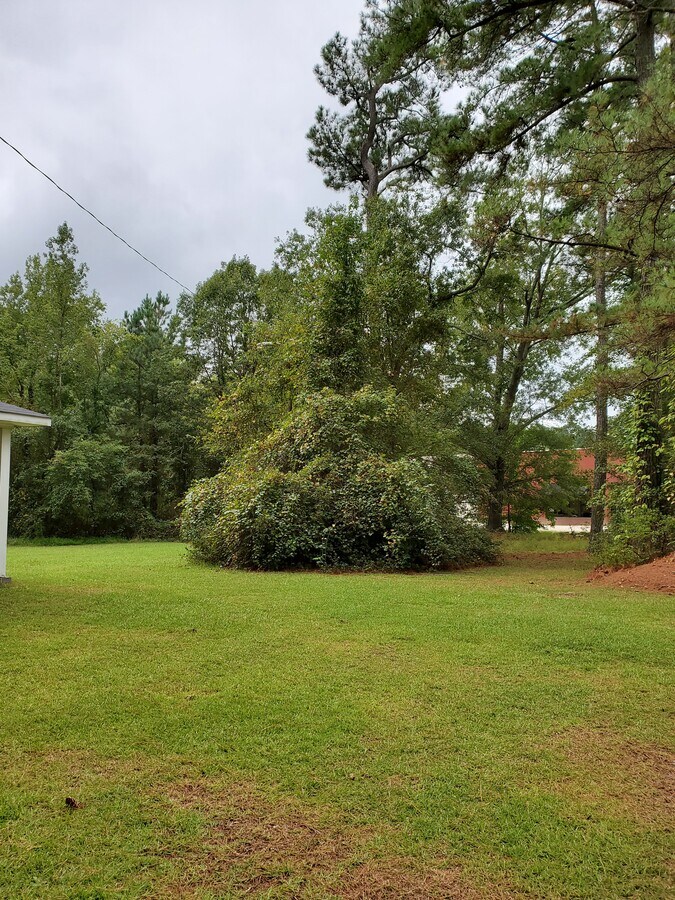 3733 Powhatan Rd, Clayton, NC 27520