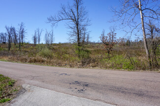 More details for CR 8170, Newburg, MO - Land for Sale