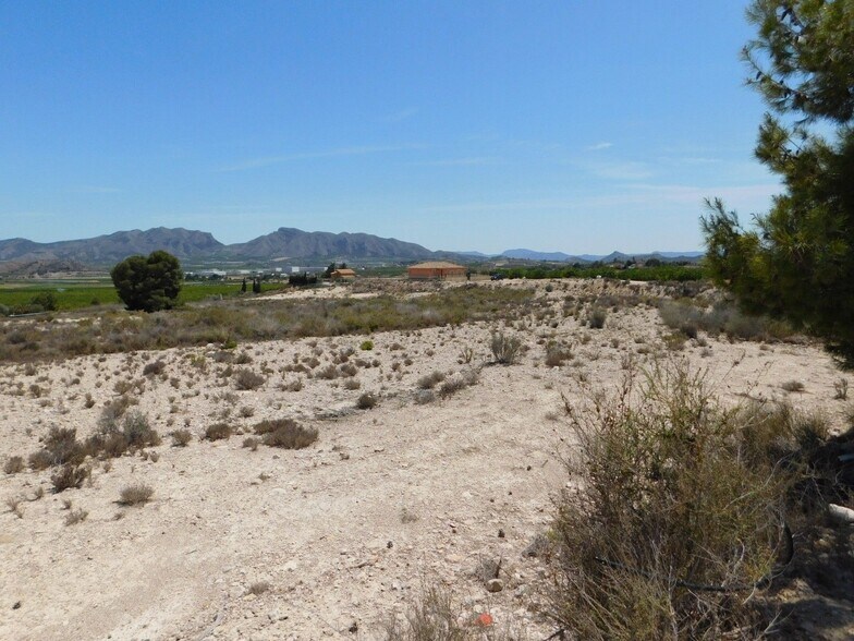 Land in Fortuna for sale - Building Photo - Image 3 of 11
