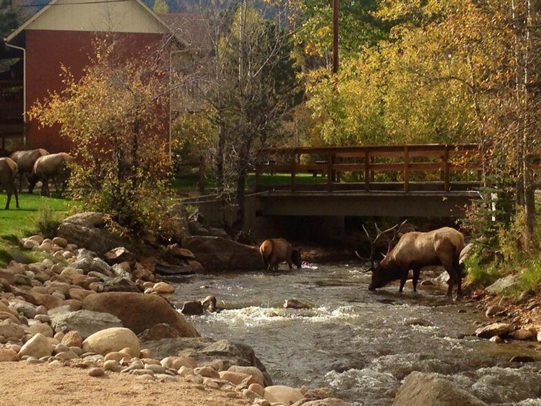 1150 W Elkhorn Ave, Estes Park, CO for sale - Building Photo - Image 1 of 1