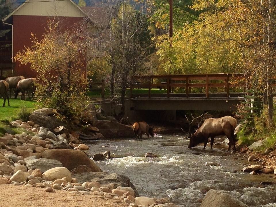 1150 W Elkhorn Ave, Estes Park, CO for sale Building Photo- Image 1 of 1