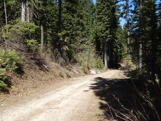 More details for 1601 Bear Trail Loop, Cascade, ID - Land for Sale