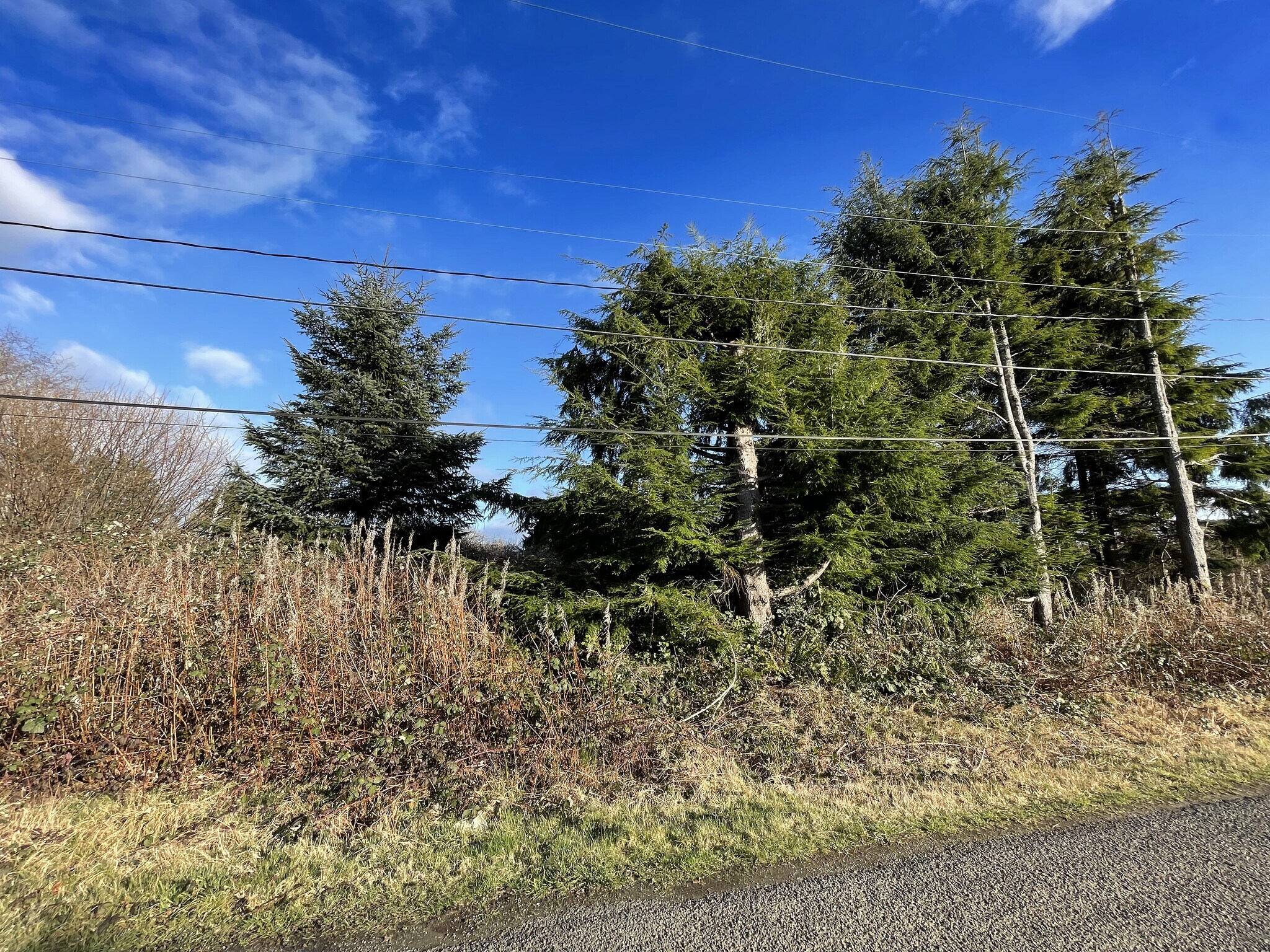 94 Elma, Copalis Beach, WA for sale Primary Photo- Image 1 of 1