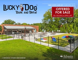 Lucky Dog - Bark and Brew - NNN Property