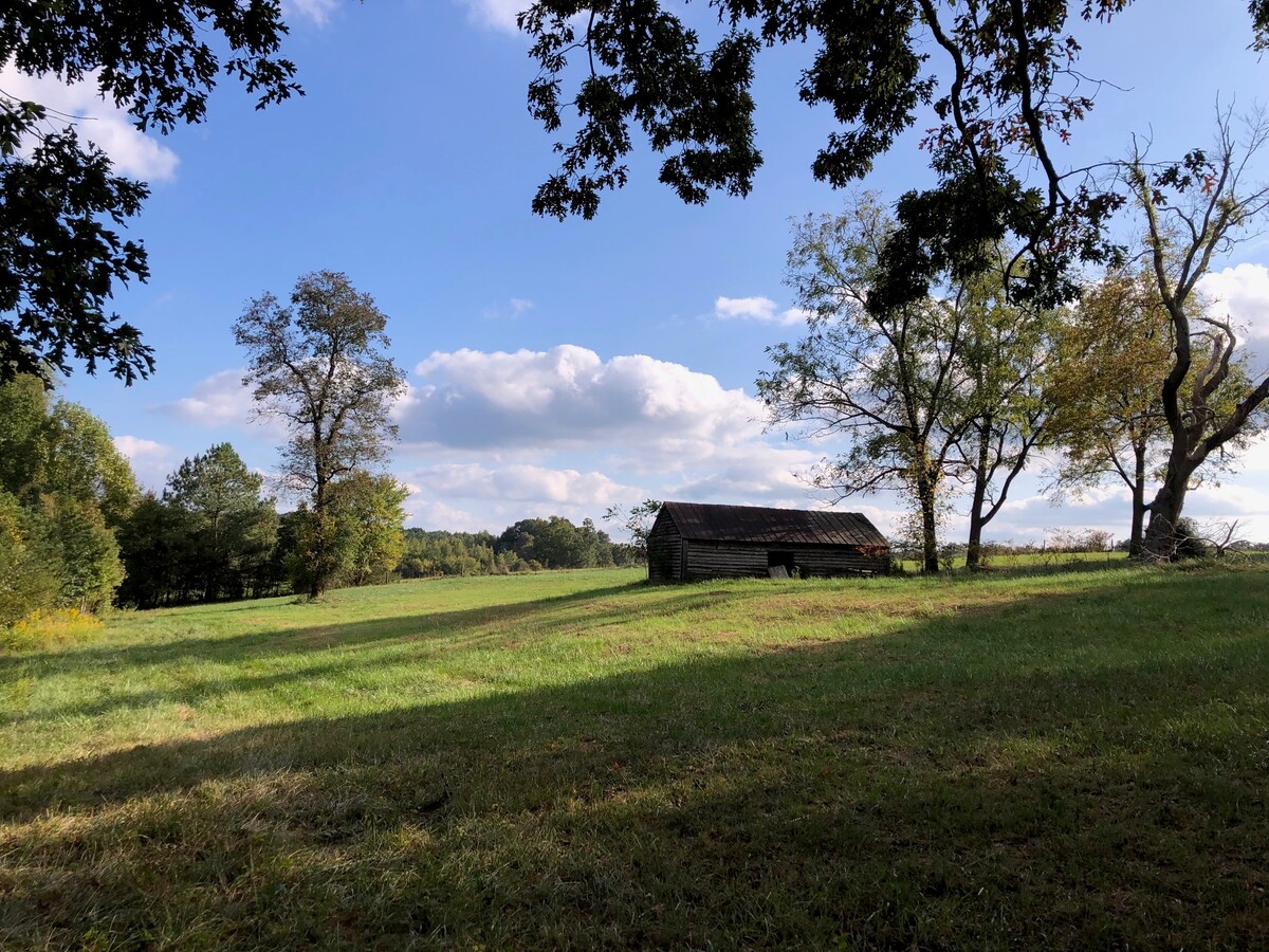 View Photo