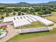 Organic Farm Investment Opportunity - Solar Farm