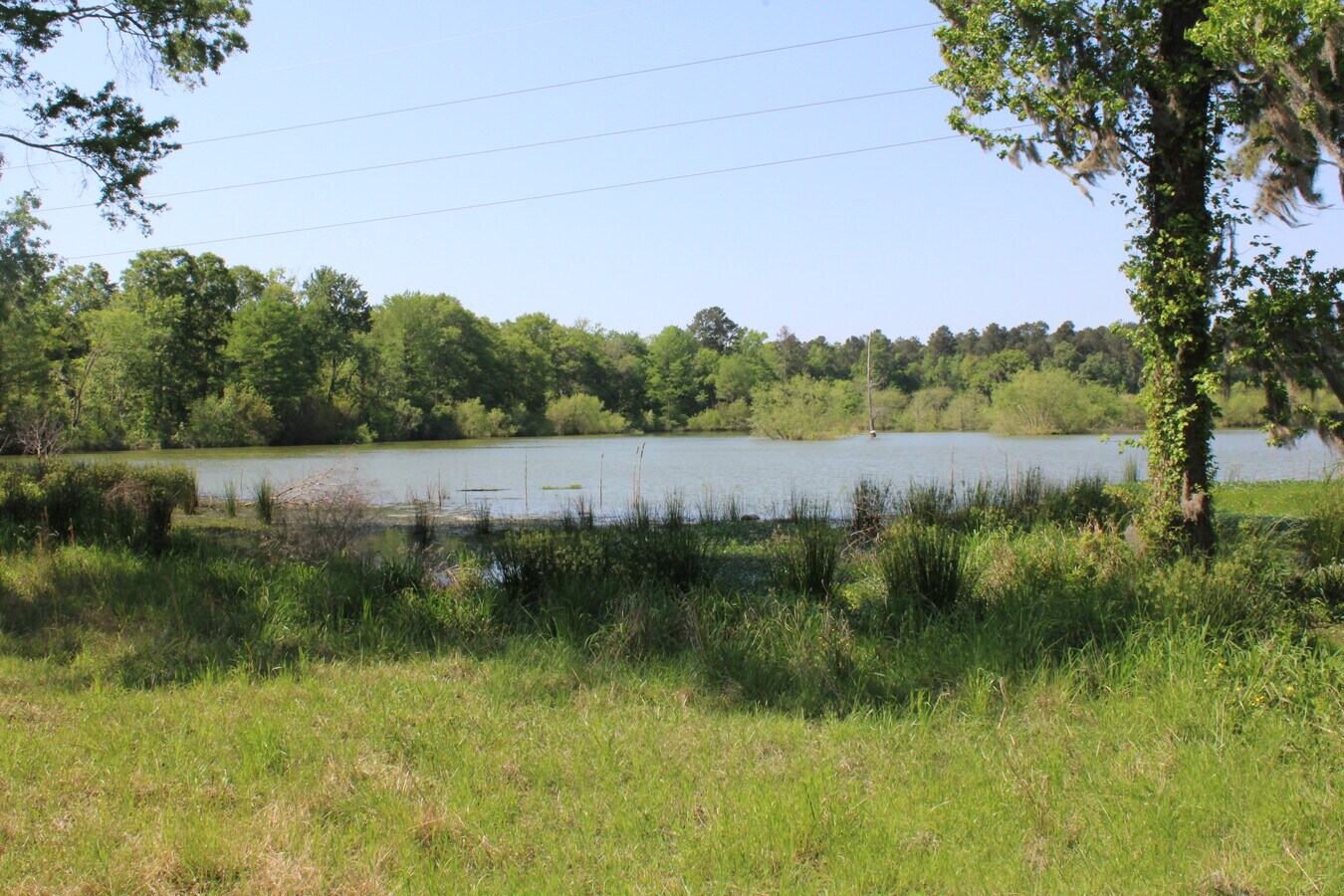 0 Cypress Campground Rd, Ridgeville, SC 29472